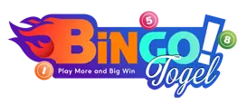 dingdongtogel